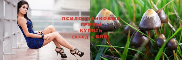 марки nbome Богданович