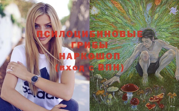 бутират Бородино