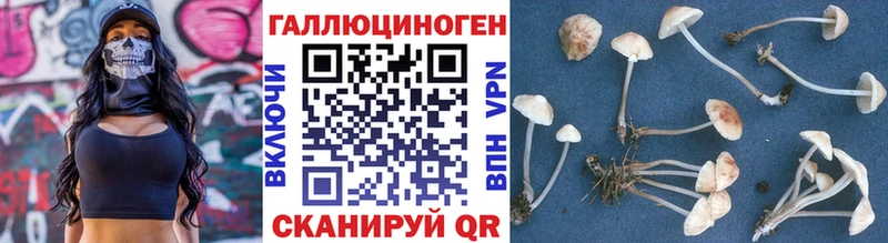 Галлюциногенные грибы ЛСД  Верхняя Тура 