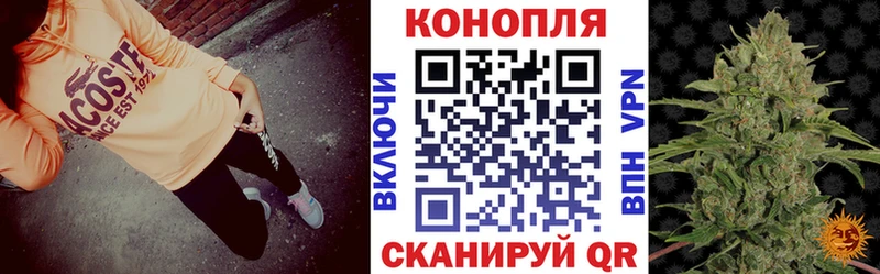 где купить наркотик  Верхняя Тура  Бошки марихуана Amnesia 